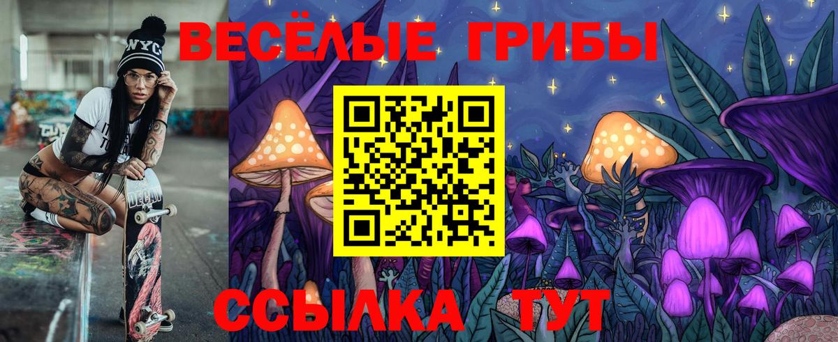 Норильск  Галлюциногенные грибы Psilocybe  Вход с VPN 