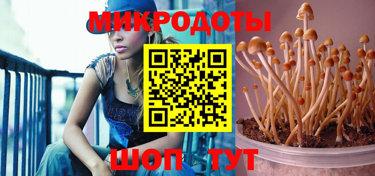 Галлюциногенные грибы прущие грибы Норильск